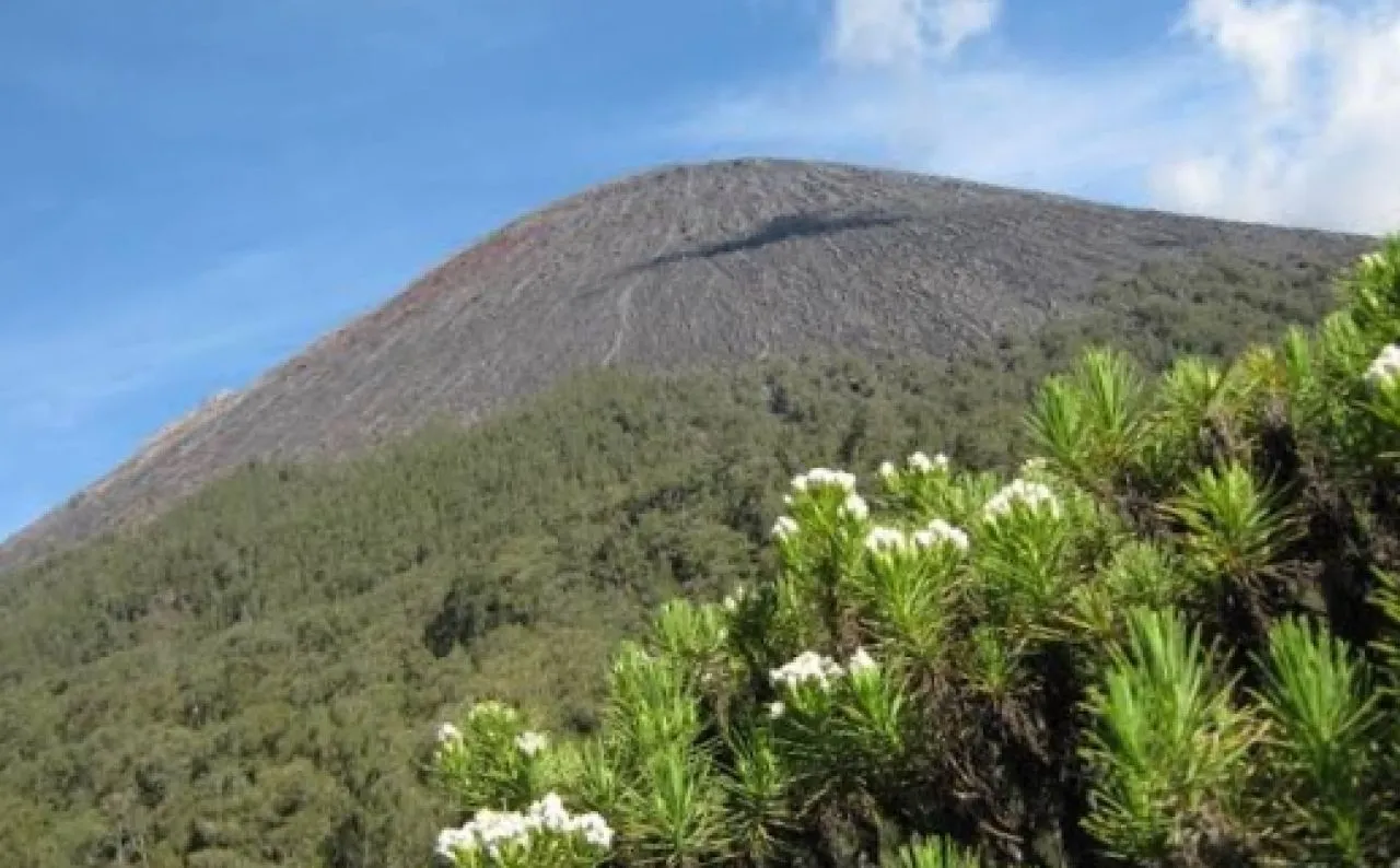 Perhatian Pendaki! Semeru Tutup Jalur Pendakian Awal 2025