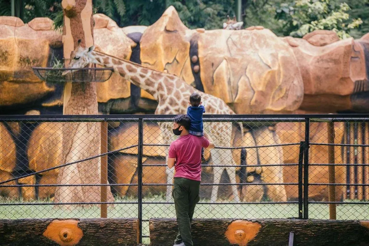 66.000 Wisatawan Kunjungi Kebun Binatang Surabaya