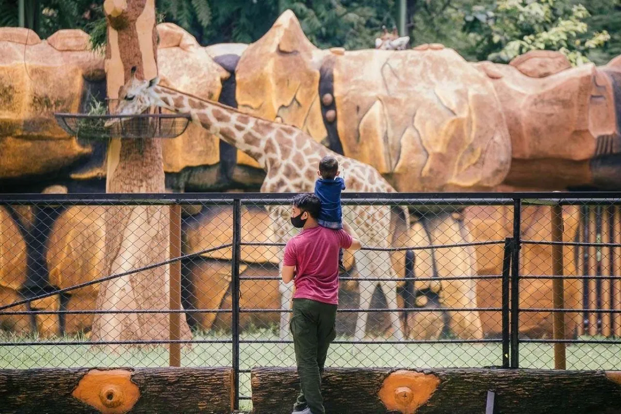72 Ribu Lebih Wisatawan Padati KBS Sejak Lebaran
