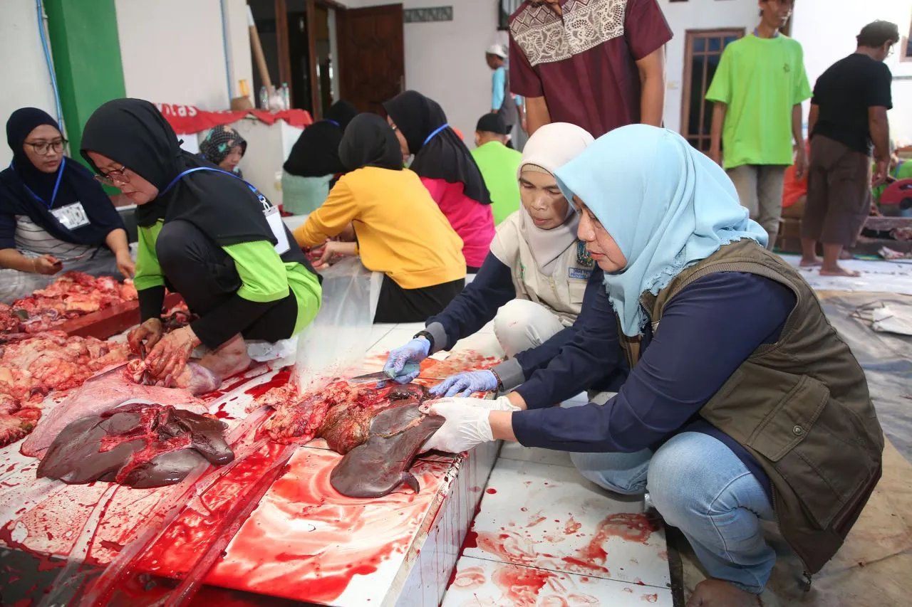 DKPP Surabaya Pastikan Penyembelihan Hewan Kurban Sesuai Syariat