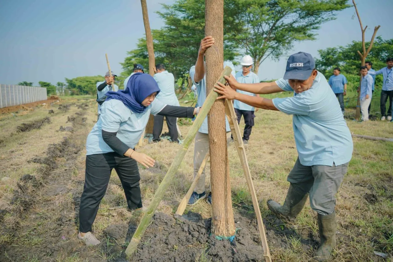 SIER Tambah Ruang Hijau di PIER, Ratusan Trembesi Ditaman untuk Tekan Emisi