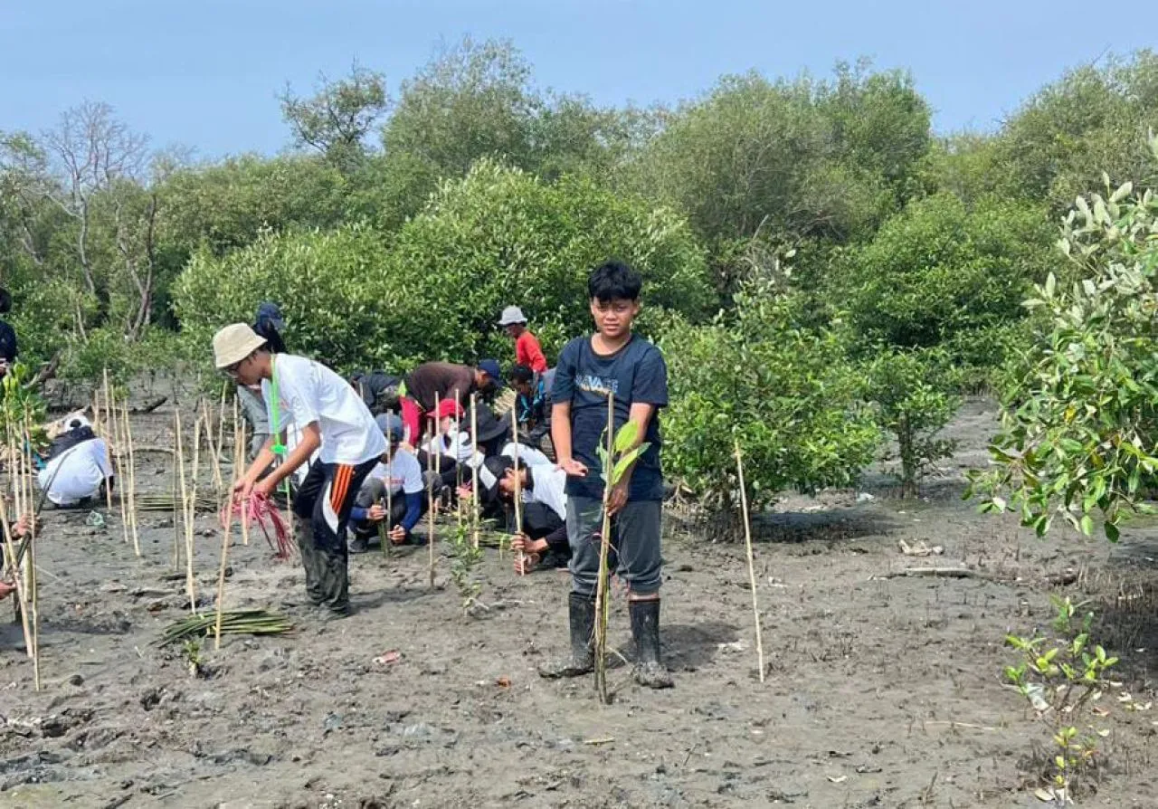 Gerakan Hijau Pelajar Surabaya: 18.200 Mangrove Demi Lindungi Pantai