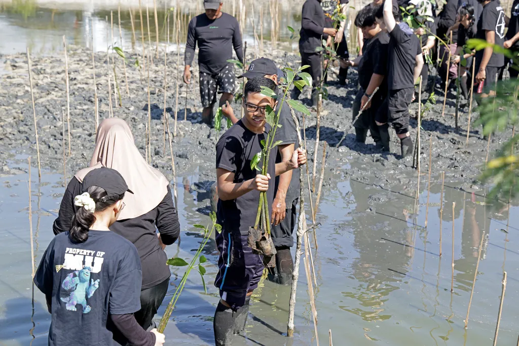 BRIDA Surabaya Targetkan KRM Gunung Anyar Miliki 100 Jenis Mangrove