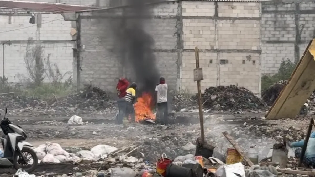 DLH Surabaya Tindak Lanjuti Pembakaran Sampah di Tambak Mayor