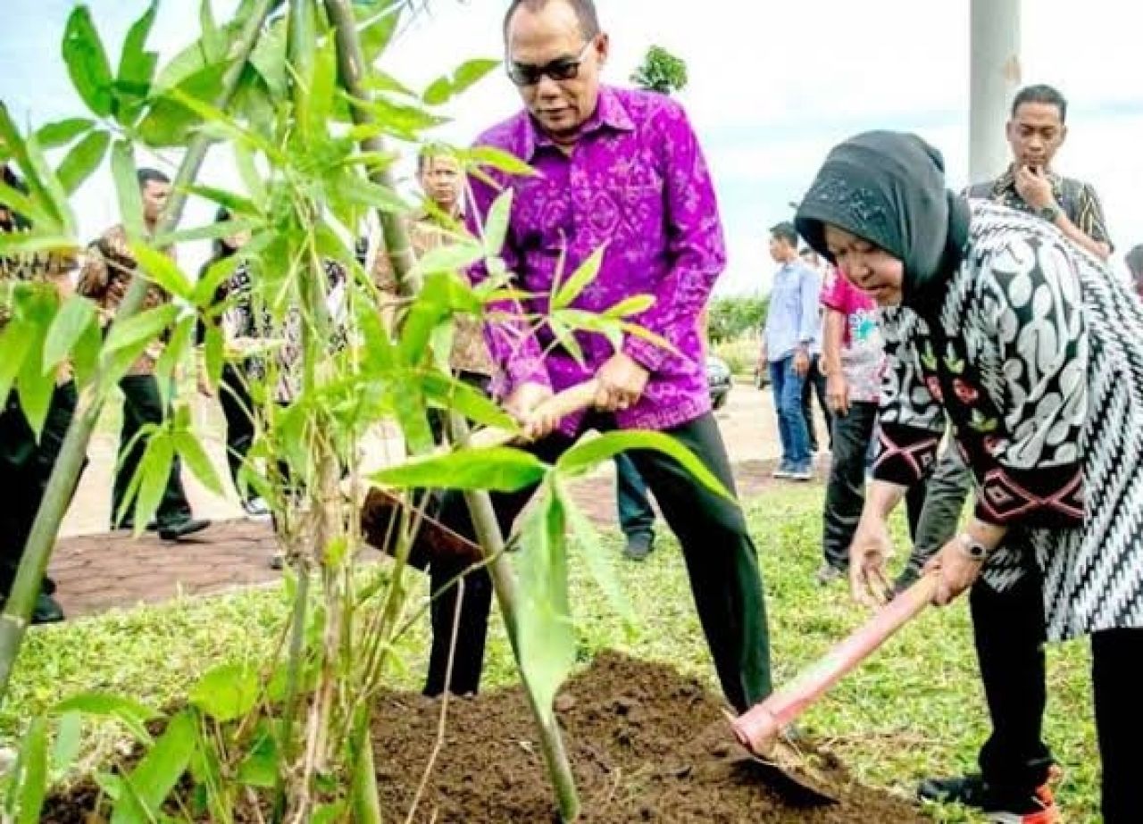 Pemkot Surabaya Galakkan Kembali Gerakan Satu Jiwa Satu Pohon Foto : Istimewa